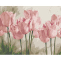Картина за номерами Рожеві тюльпани 40*50 см LW 3017
