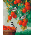Картина за номерами Синички в саду LW 3026 40*50 см
