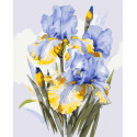 Картина за номерами Букет ірисів  40*50 см LW 31600