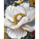 Картина за номерами  Біла півонія з фарбами металік 40*50 см LW 3429