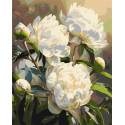 Картина за номерами Гармонія півоній 40*50 см  LW 3533