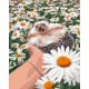 Картина за номерами Їжачок у ромашках 40*50 см LW 3086