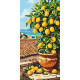 Картина за номерами  Цитрусове дерево (лимон) 40*80 см LW 5116