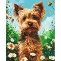 Картина за номерами Собака йоркширський тер'єр 40*50 см LW 30470