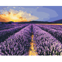 Картина за номерами Лавандове поле. Пейзаж 40*50 см LW 30610