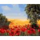 Картина за номерами українські сюжети Польові маки 40*50 см LW 3131