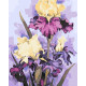 Картина за номерами Розкішні іриси  40*50 см LW 32040