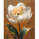 Картина за номерами Біла півонія з фарбами металік 40*50 см LW 3305