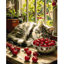 Картина за номерами Тварини. Спляче кошеня на вікні 40*50 см  LW 3510
