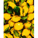 Картина за номерами Соковиті лимони   40х50 см PN1235