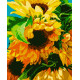 Картина за номерами Яскраві соняшники   40х50 см PN2012