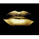 Картина за номерами Золоті губи з золотою фарбою40х50 см PN3060