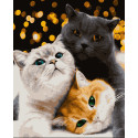 Картина за номерами Котики-муркотики    40х50 см PN4200