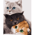 Картина за номерами Три коти   40х50 см PN4201