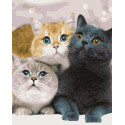 Картина за номерами Котики    40х50 см PN4203