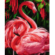 Картина за номерами Фламінго    40х50 см PN5740