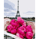 Картина за номерами Париж, півонії   40х50 см PN6780