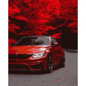 Картина за номерами Осінь у червоному  40х50 см PN9658