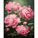 Картина за номерами Півонії    40х50 см PN1988