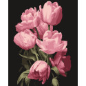 Картина за номерами Тюльпани    40х50 см PN1975