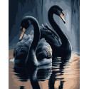 Картина за номерами Чорні лебеді   40х50 см PN0745