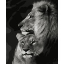 Картина за номерами Пара левів   40х50 см PN4204