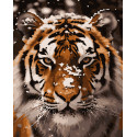 Картина за номерами Тигр    40х50 см PN4271