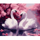 Картина за номерами Весняна ніжність   40х50 см PN0962