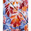 Картина за номерами Листя    40х50 см PN0111