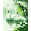 Картина за номерами Лебеді    40х50 см PN0234