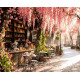 Картина за номерами Весняна вулиця   40х50 см PN3345