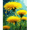 Картина за номерами Яскраві кульбаби   40х50 см PN3478