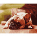 Картина за номерами Французський бульдог   40х50 см PN6034