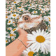 Алмазна мозаїка Їжачок у ромашках 40*50 см OD 3086