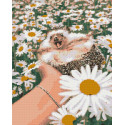 Алмазна мозаїка Їжачок у ромашках 40*50 см OD 3086