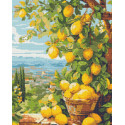 Алмазна мозаїка Лимонне дерево 40*50 см OD 3490