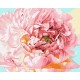 Картина за номерами  Ніжна півонія 40х50 см КНО 2996