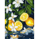 Картина за номерами Лимон у розрізі 30х40см  КНО5733