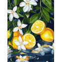 Картина за номерами Лимон у розрізі 30х40см  КНО5733