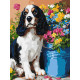 Картина за номерами Милий спанієль 30х40 см КНО6672