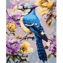 Картина за номерами Сойка в півоніях 40х50см  КНО6711
