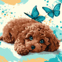 Картина за номерами Милий пудель 40х40см  КНО6793