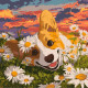 Картина за номерами Коргі в ромашках 40*40см  КНО6798