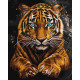Картина за номерами Дикий тигр  40х50см КНО6812