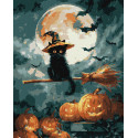 Картина за номерами Маленький чаклун 40х50см КНО6821