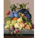 Картина за номерами Оксамитовий натюрморт 40x50см КНО5655