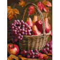 Картина за номерами Осінні фрукти 30x40см  КНО5725