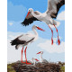 Картина за номерами Сім'я лелек 40x50см КНО6603