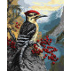 Картина за номерами Дятел на калині 40*50см КНО6778