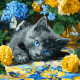 Картина за номерами Кошення блакитнооке 40х40см КНО6795